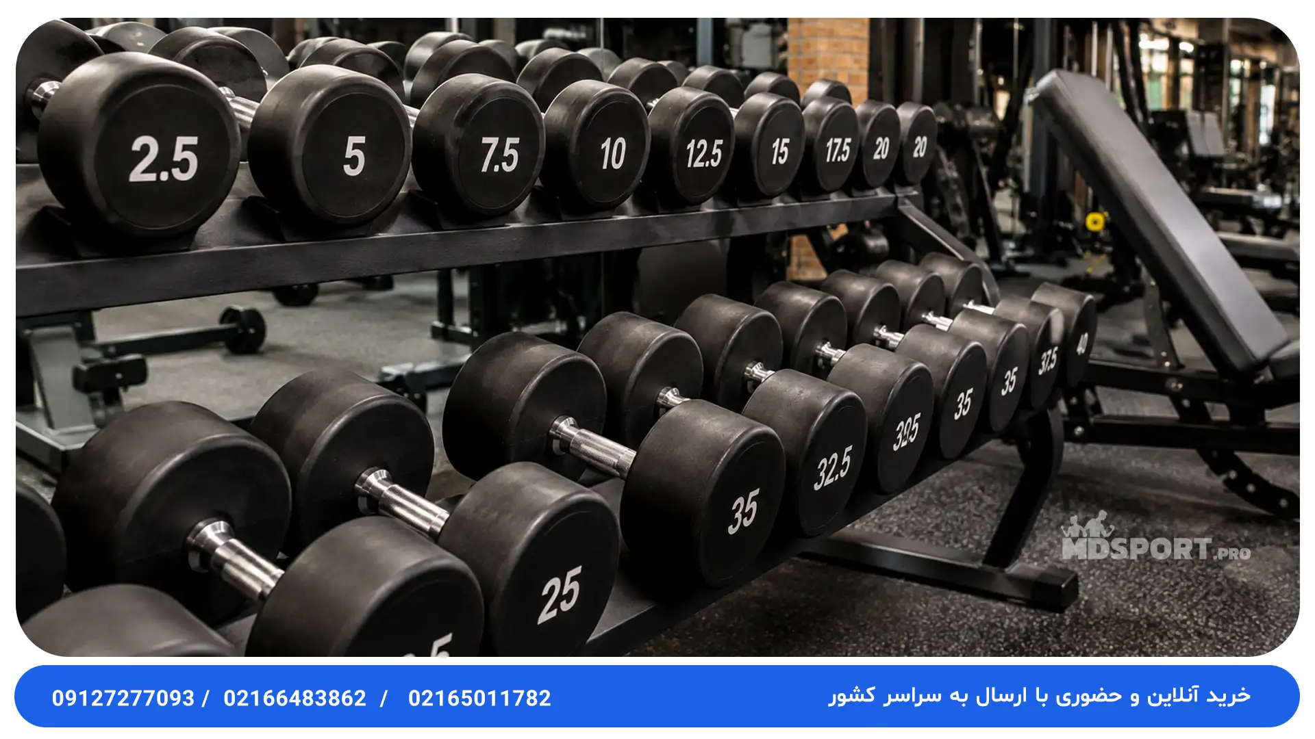 دمبل ، پرکاربردترین وسیله بدنسازی | فروشگاه Md Sport Pro